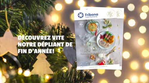 Découvrez notre nouvelle brochure de fin d'année!